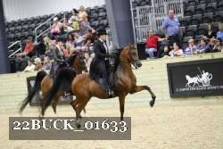 22BUCK_01633 proof