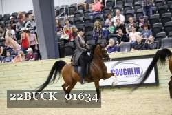 22BUCK_01634 proof