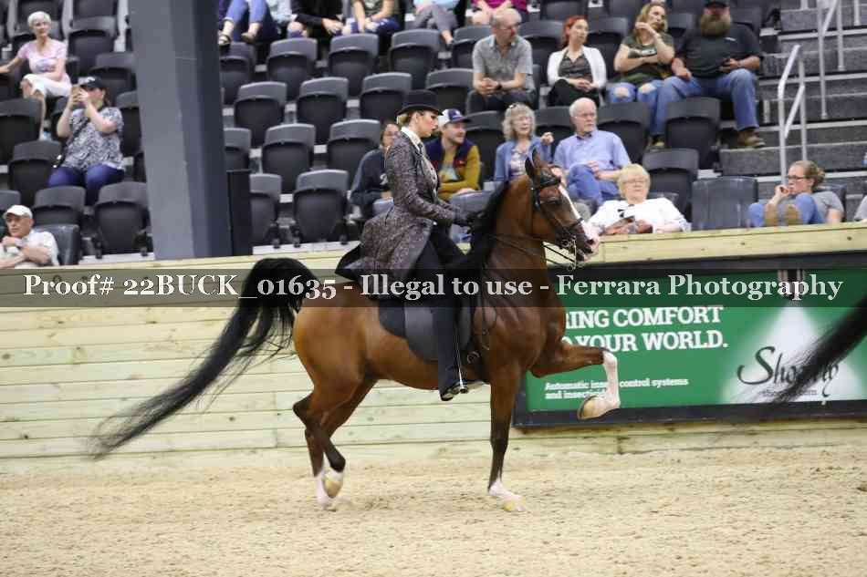 Proof 22BUCK_01635