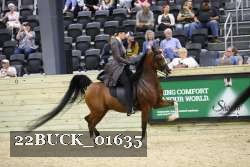 22BUCK_01635 proof