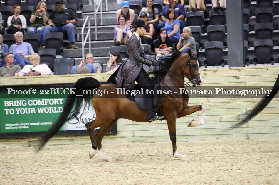 Proof 22BUCK_01636