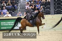 22BUCK_01636 proof