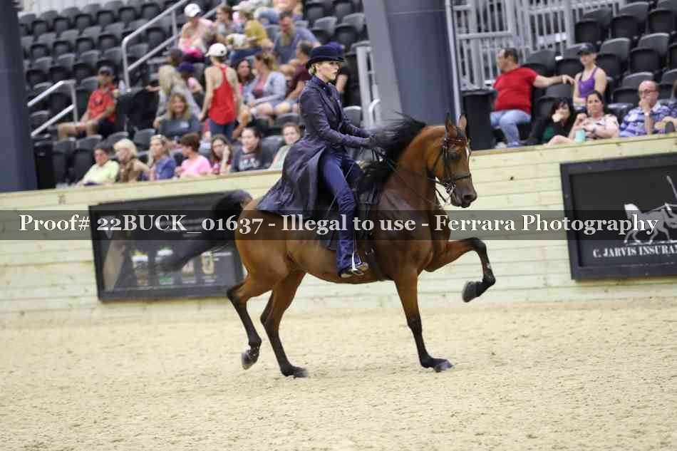 Proof 22BUCK_01637