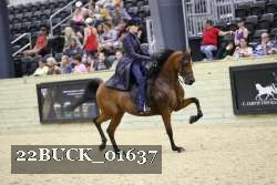 22BUCK_01637 proof