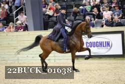 22BUCK_01638 proof