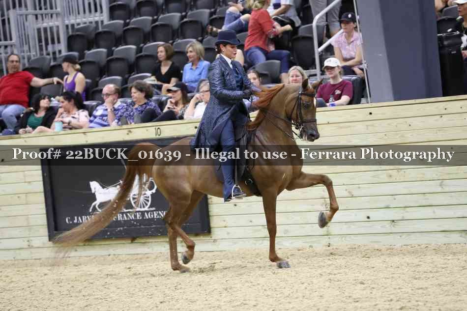 Proof 22BUCK_01639