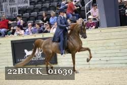 22BUCK_01639 proof