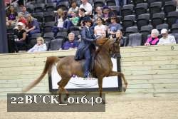 22BUCK_01640 proof