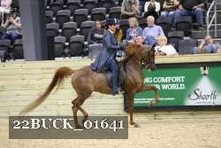 22BUCK_01641 proof