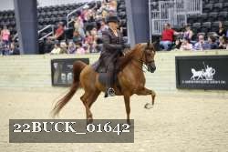 22BUCK_01642 proof