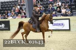 22BUCK_01643 proof