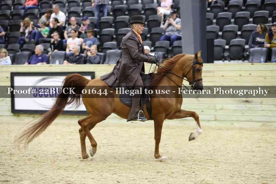 Proof 22BUCK_01644