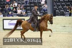 22BUCK_01644 proof