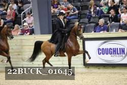 22BUCK_01645 proof