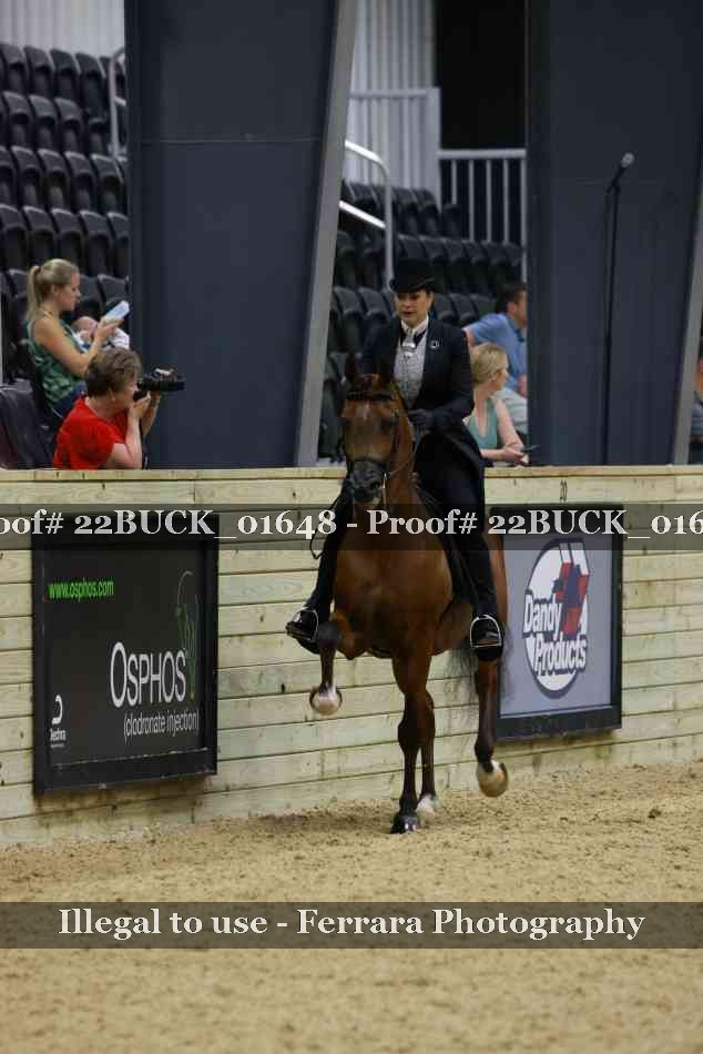 Proof 22BUCK_01648