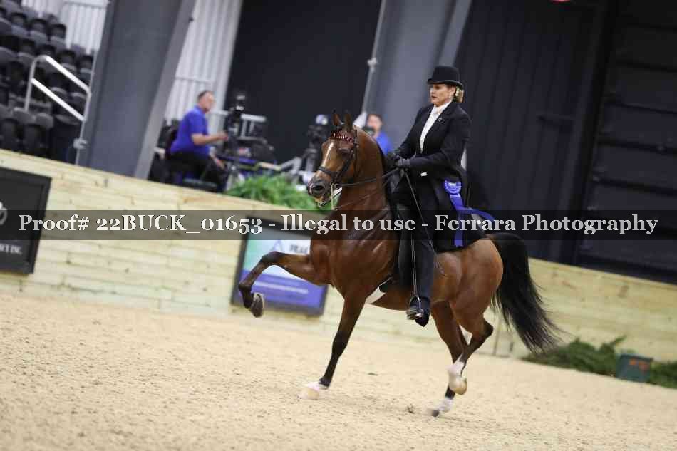 Proof 22BUCK_01653