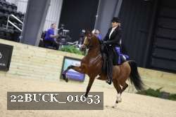 22BUCK_01653 proof