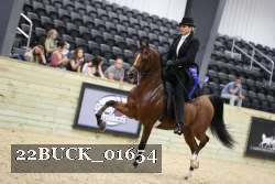 22BUCK_01654 proof