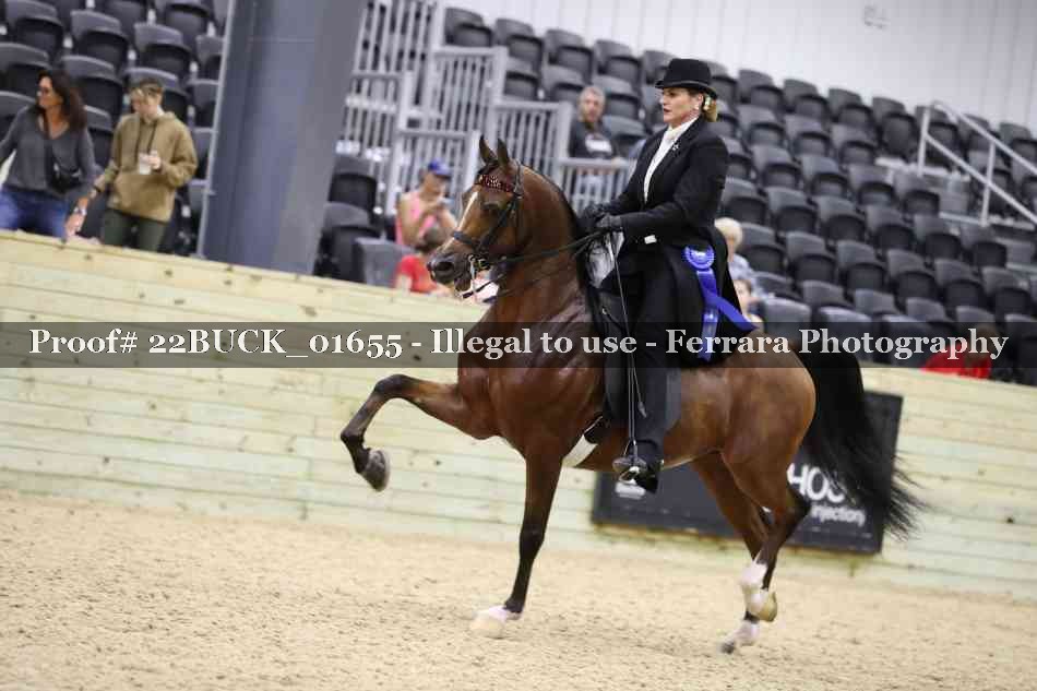 Proof 22BUCK_01655