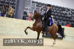 22BUCK_01655 proof
