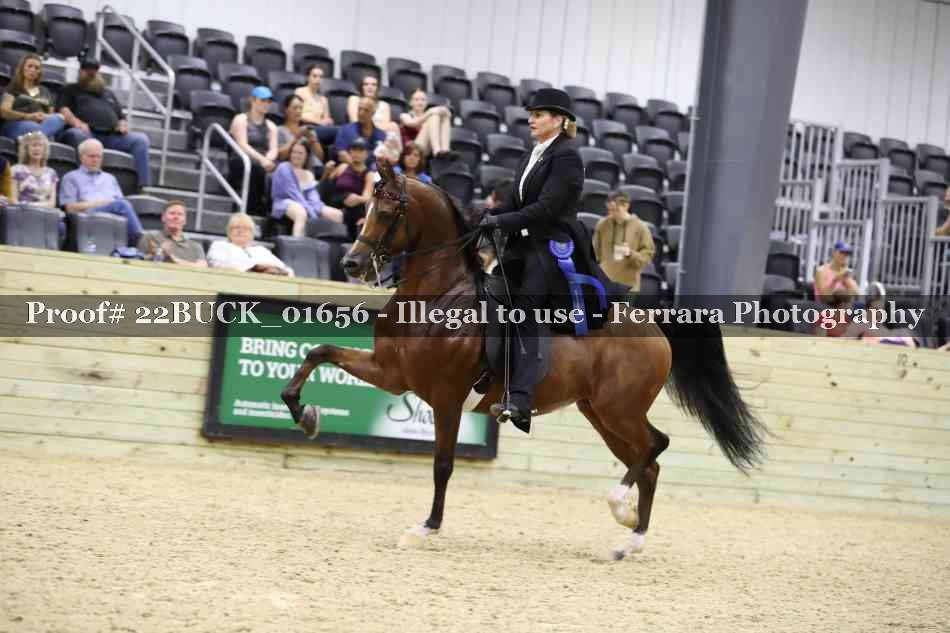 Proof 22BUCK_01656
