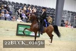 22BUCK_01656 proof