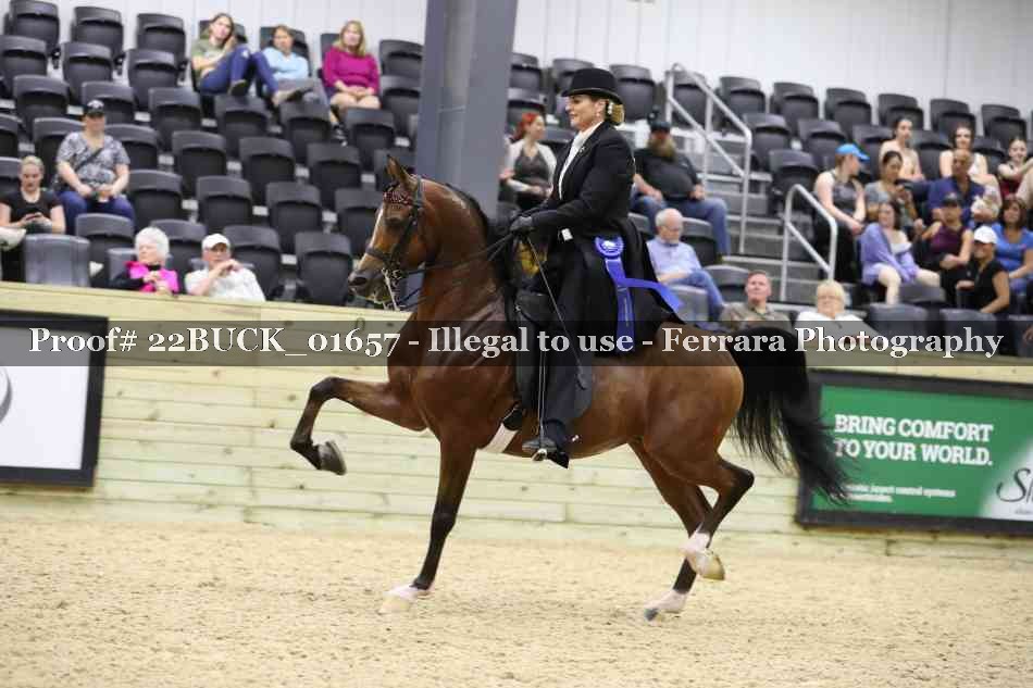 Proof 22BUCK_01657