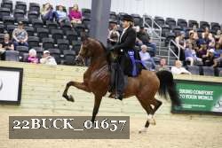 22BUCK_01657 proof