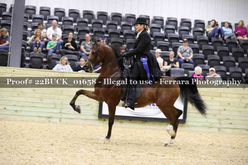 Proof 22BUCK_01658