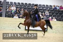22BUCK_01658 proof