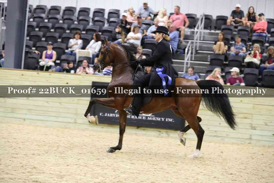 Proof 22BUCK_01659