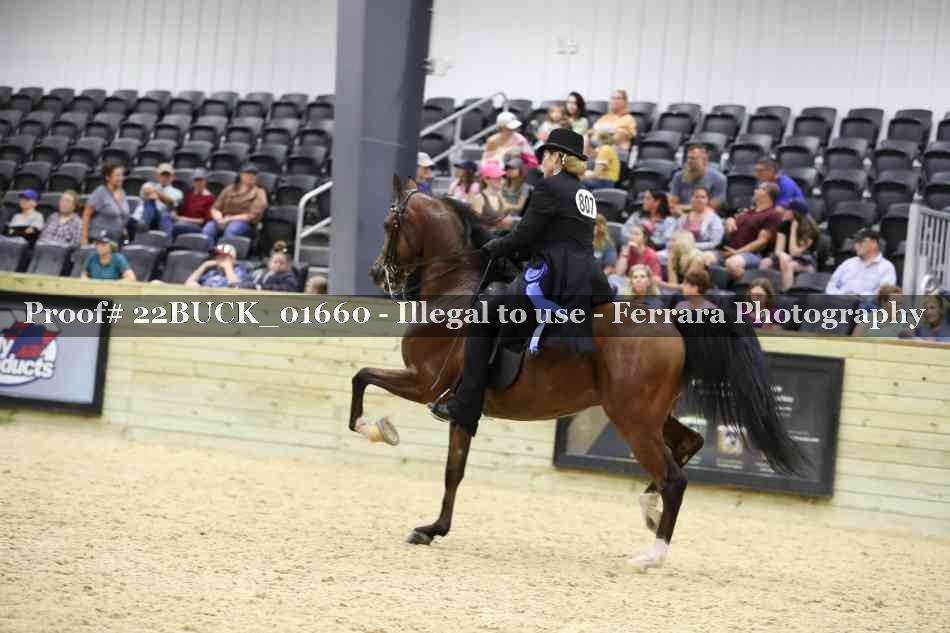 Proof 22BUCK_01660
