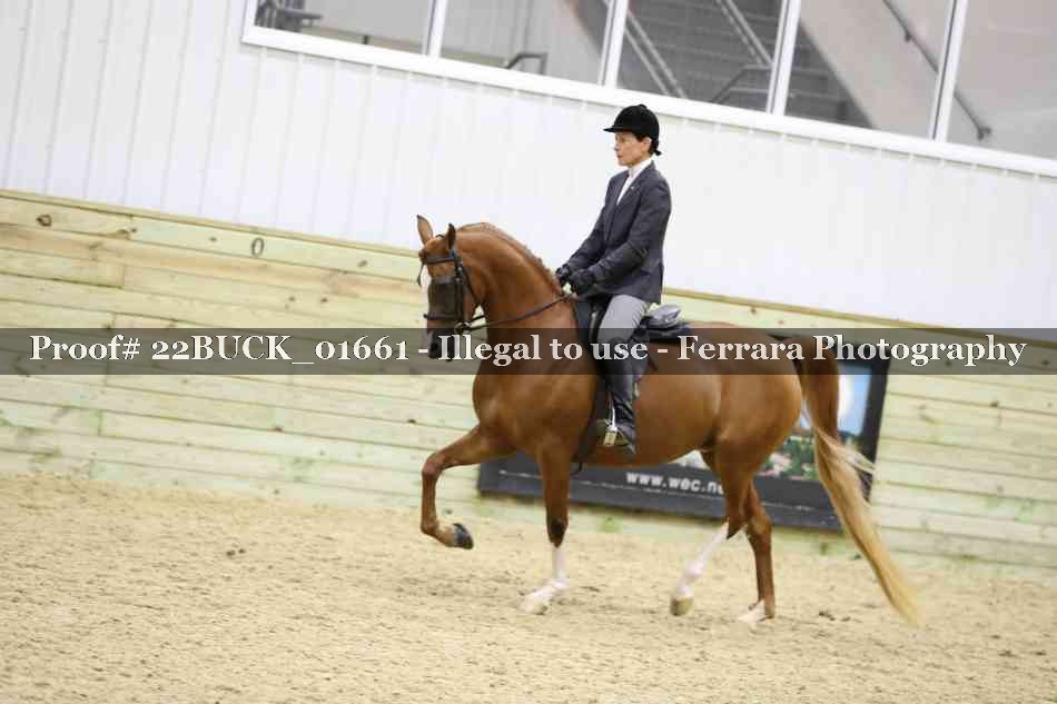 Proof 22BUCK_01661