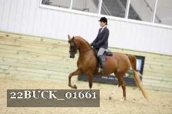 22BUCK_01661 proof