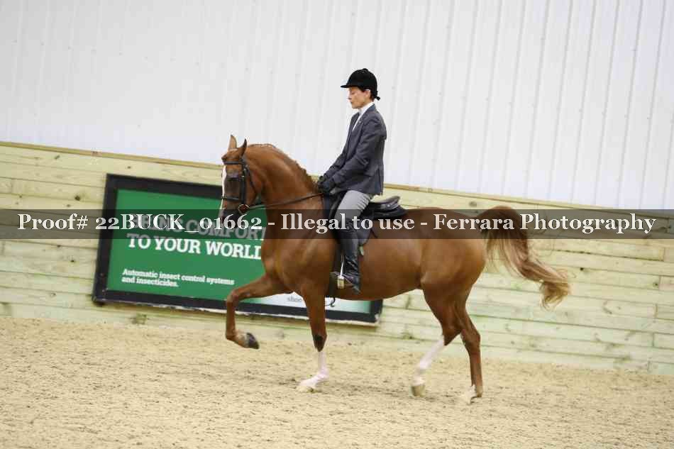 Proof 22BUCK_01662