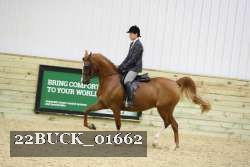 22BUCK_01662 proof