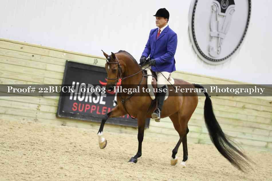 Proof 22BUCK_01663