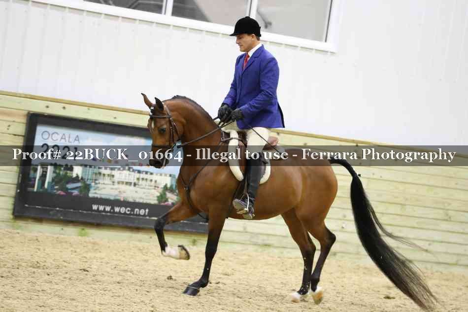 Proof 22BUCK_01664