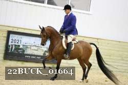 22BUCK_01664 proof