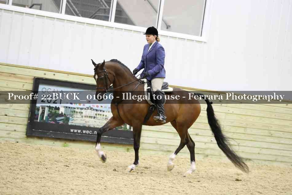 Proof 22BUCK_01666