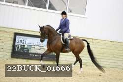 22BUCK_01666 proof