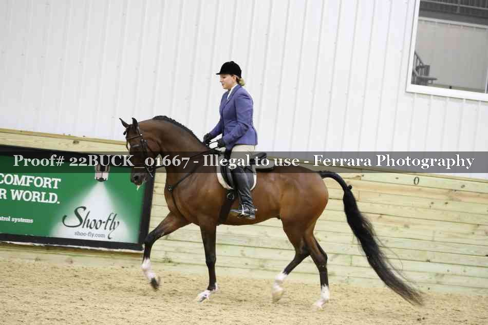 Proof 22BUCK_01667