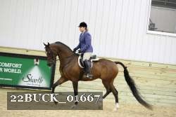 22BUCK_01667 proof