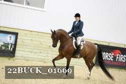 22BUCK_01669 proof