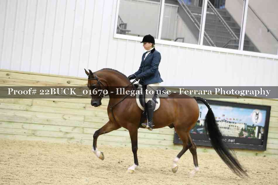 Proof 22BUCK_01670