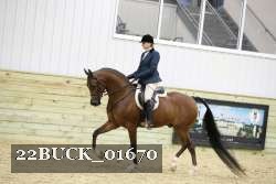 22BUCK_01670 proof