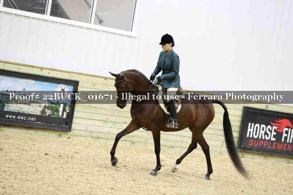 Proof 22BUCK_01671