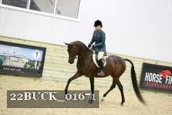 22BUCK_01671 proof