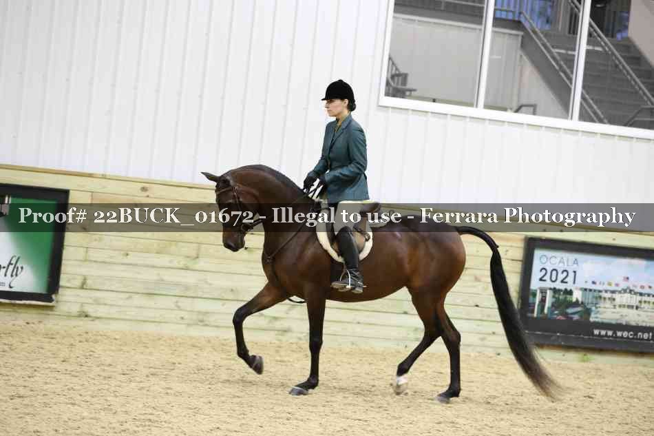 Proof 22BUCK_01672