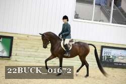 22BUCK_01672 proof